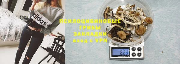 дживик Рославль