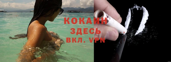 ECSTASY Яровое