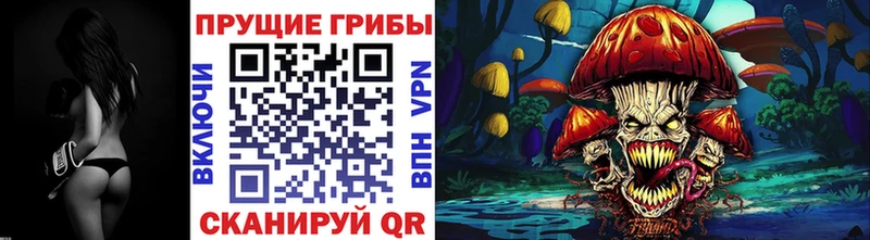 Псилоцибиновые грибы Psilocybine cubensis  гидра ссылки  Аркадак 